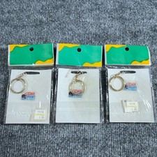 Cedar Point Keyrings 125 Summers Vintage Souvenir Amusement Park Lot of 3 New picture
