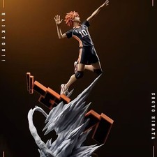 HIKARI Recast Haikyuu Shoyo Hinata Resin 38cm Model Hinata Shoyo Figure Statue picture