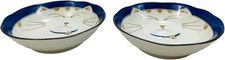 2562 Japanese Porcelain Soup Bowls Shallow Bowl Cereal Rice Salad Appetizer picture