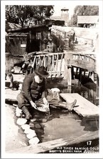 Knott's Berry Farm OLD TIMER PANING GOLD RPPC Buena Park CA Postcard picture