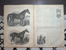 1860 American Trotting Horses, 7th Regiment Review Ctrfld, Cattle Disease Jul 21 picture