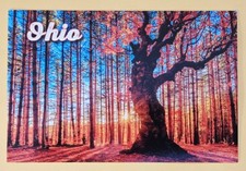  Postcard OH: Autumn. Ohio  picture