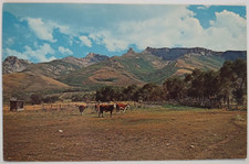 Vintage Nevada Unspoiled West Chrome Postcard Unposted Ranch Mountains picture