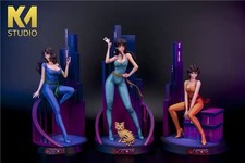 KM Studio Tam Chamade CAT eyes 1/6 Resin Painted Figure Model Statue 12''H NEW picture