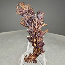 Nice Red Cuprite on Native Copper Crystals: Ray mine, Hayden, Pinal Co., Arizona picture