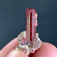 Tourmaline Crystal specimen From Afghanistan 13 Carat picture