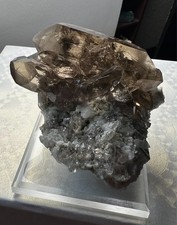 Swiss Smoky Quartz *Glassy* Cluster w Chlorite & Adularia -Goschenen Switzerland picture