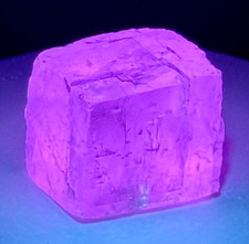 DAZZLING Iceland Spar Calcite Crystal w/ Terlingua-type Fluorescence - Mexico picture