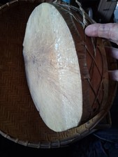 **ANTIQUE  75 YEAR OLD NATIVE AMERICAN RARAMURI TARAHUMARA SHAMAN DRUM HTF