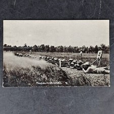 Antique 1908 Real Photo Postcard Firing Line Camp Douglas, WI RPPC POSTCARD picture