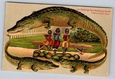 Post Card Greetings from the Sunny South. A Watermelon Feast picture
