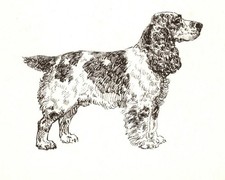 English Cocker Spaniel - CUSTOM MATTED 5 x 7 - Dog Art Print - NEW - GD picture