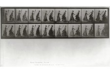 Eadweard Muybridge 1880s Woman Striking Woman with Broom Animal Locomotion picture