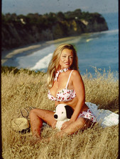 Model SHERRI LYNN CHAMBERS PHOTO SHOOT  35MM Slide (9059) picture