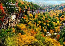 Obed Wild & Scenic River Fall Season photo postcard picture