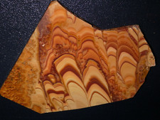 Wave Dolomite    slab-   7 1/8