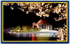 Cherry Blossom Time - The Jefferson Memorial at Night  - Washington, D.C. picture