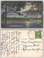 1951 Florida Moonlight Orange Grove Lake Postcard Deerfield CT Colortone picture