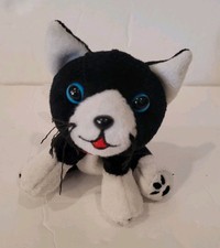 Jonny Cat Plush Bean Bag Toy Jonny Cat Litter Clorox Pet Products 2000 picture