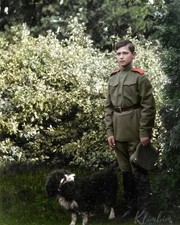 Alexei Nikolaevich Tsarevich of Russia 8X10 Photo Picture House of Romanov #21 picture