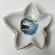Vintage Niagara Falls Souvenir Leaf Dish - General View - Made in Japan [READ] picture