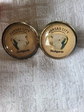 Bridle Rosette's Kansas City Stockyards Hereford 2 in brass and glass picture