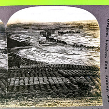 c1910s Shizuoka, Japan Tea & Rice Farms Birds Eye Real Photo Stereo Card V4 picture