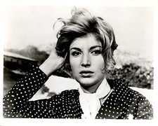 LD379 1972 Original Photo MONICA VITTI ITALIAN ACTRESS 1960 FILM