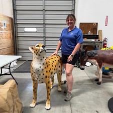 Watchful Head Up Cheetah Life Size Statue Resin Big Cat Wildlife Home Decor Prop picture