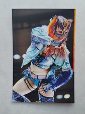 Starlight Kid Women's Pro Wrestling Photo 4×6