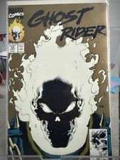 Ghost Rider #15 (Marvel Comics July 1991) picture