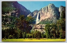 Yosemite Park~Yosemite Meadow & Yosemite Falls~Vintage Postcard picture