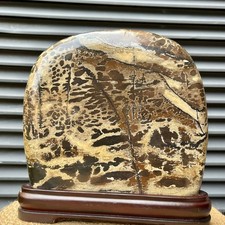 Scenic Stone Natural Pattern Polished Display Art Wood Base  4.7 lb picture