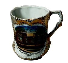 CAMBRIDGE MA Massachusetts Souvenir HARVARD COLLEGE Porcelain GOLD TRINKET CUP picture