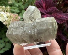 Gypsum Var Selenite Chiusdino, Siena Province, Tuscany, Italy picture