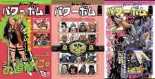 DO A POWERBOMB BLACK & WHITE #1 2 3 JAPANESE MAGAZINE VARIANT SET D E DWJ picture
