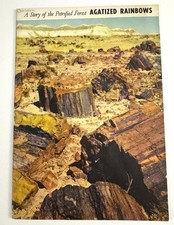 Vtg 1951 Booklet A Story Of The Petrified Forest Agatized Rainbows picture