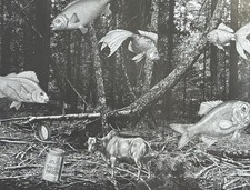 Surreal Fish Forest Photomontage Linda Mann 1981 SFSU Student Print  11x14 picture