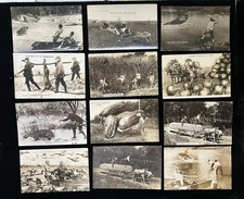 12 Card Lot RPPC Martin Exaggeration Postcards Farming Fishing Hunting Humor picture