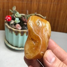 84g natural Bonsai Suiseki Gobi Agate Eyes Stone-Stunning original View A4623 picture