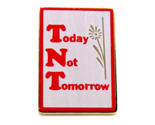 TNT Lapel Pin Today Not Tomorrow Motivational Red White Vintage Message picture