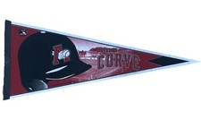 VINTAGE Altoona Curve Felt Pennant - MiLB Pirates AA Wall Decor Souvenir 2009 picture