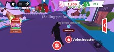 Adopt Me Velocirooster Newborn Virtual Pet In-Game Item Asset for Adopt Me picture