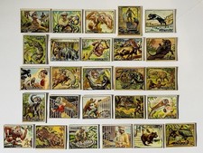 Frank Buck Bring Em Back Alive, 1950 Cards, Lot Of 51 Plus 4 Duplicates. picture