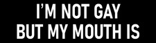 I'm Not Gay But My Mouth Is Bumper Sticker Funny Car Sticker I'm Not Gay Decal picture