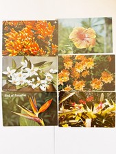 Lot of 6 Vintage Postcards Tropical Flowers Florida Hawaii Mixed Lot picture
