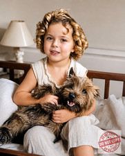 Shirley Temple  8x10 Reprint picture