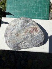 Massive Silicified Chalcedon•Jasper Rough•Lavender Gray with Pink Mineral Zones picture