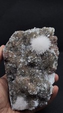 White scolecite flowers on matrix coated with apophyllite picture
