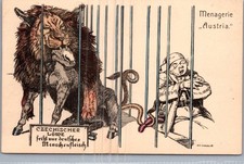 1910s Mint Germany Postcard Czech Lion in Austrian Hungary Empire Pre WW1 picture